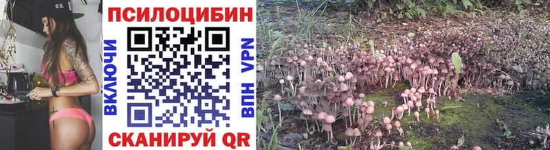 Галлюциногенные грибы мицелий Обь