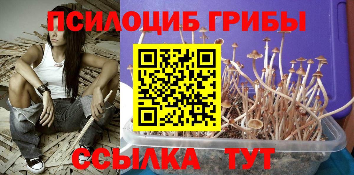 Галлюциногенные грибы Magic Shrooms  Галлюциногенные грибы Psilocybe  Обь  Вход с VPN 